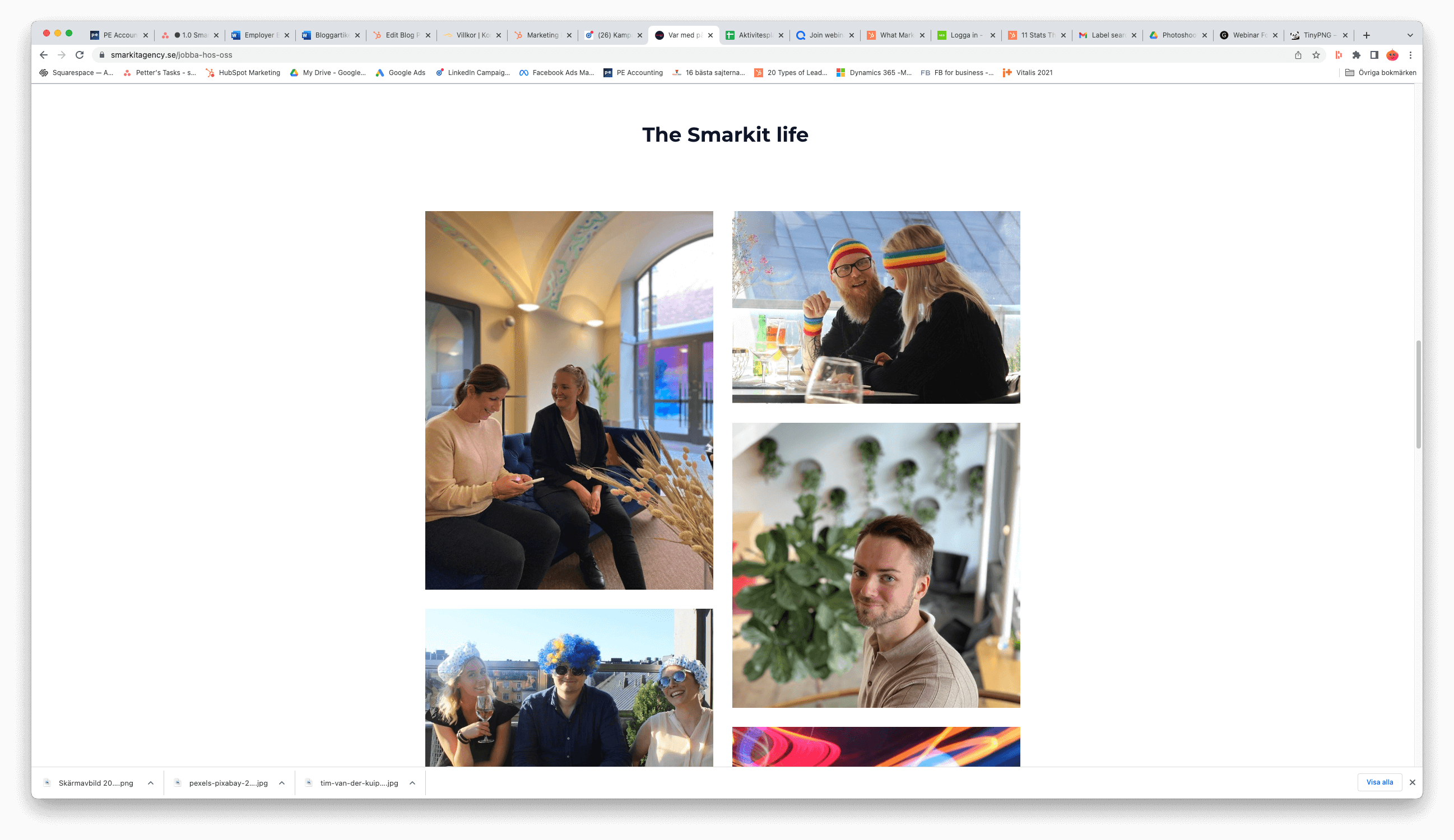 The Smarkit life - karriärsida
